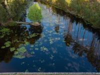  of property in Plettenberg Bay