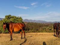  of property in Plettenberg Bay