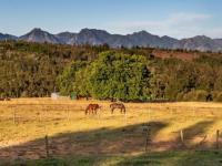  of property in Plettenberg Bay