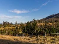  of property in Plettenberg Bay