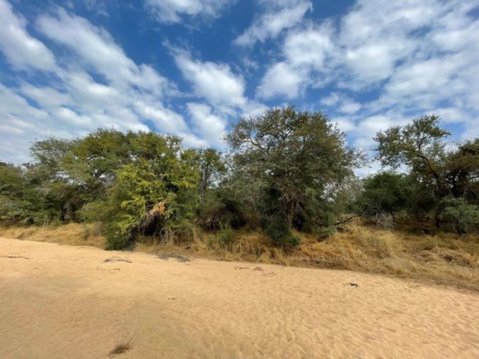 Land for Sale For Sale in Hoedspruit - MR541994