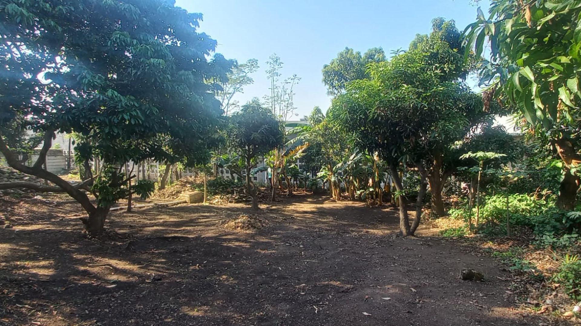 Backyard of property in Lotusville