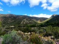  of property in Robertson