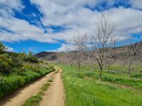  of property in Robertson