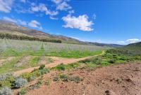  of property in Robertson