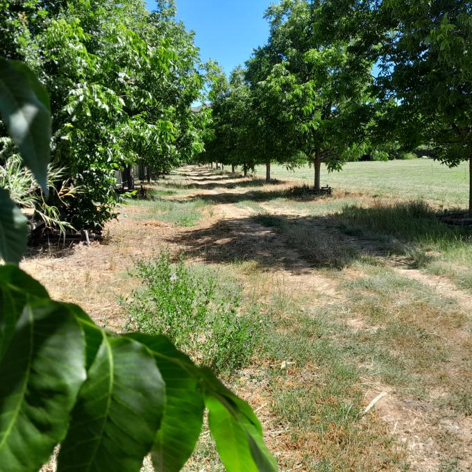 Land for Sale For Sale in Montagu MR544010 MyRoof