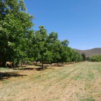  of property in Montagu