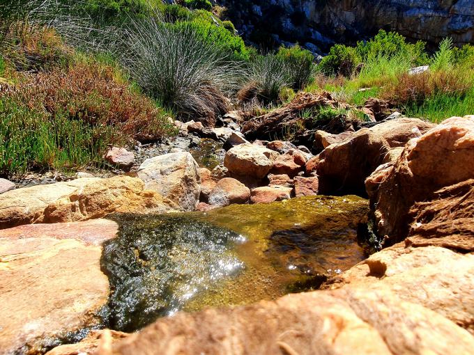 Farm for Sale For Sale in Swellendam - MR544412