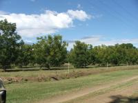 Farm for Sale for sale in Weenen