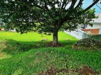  of property in Shelly Beach