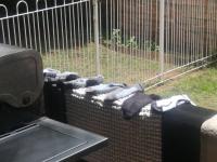  of property in Parkhill Gardens