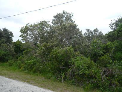 Front View of property in Wilderness