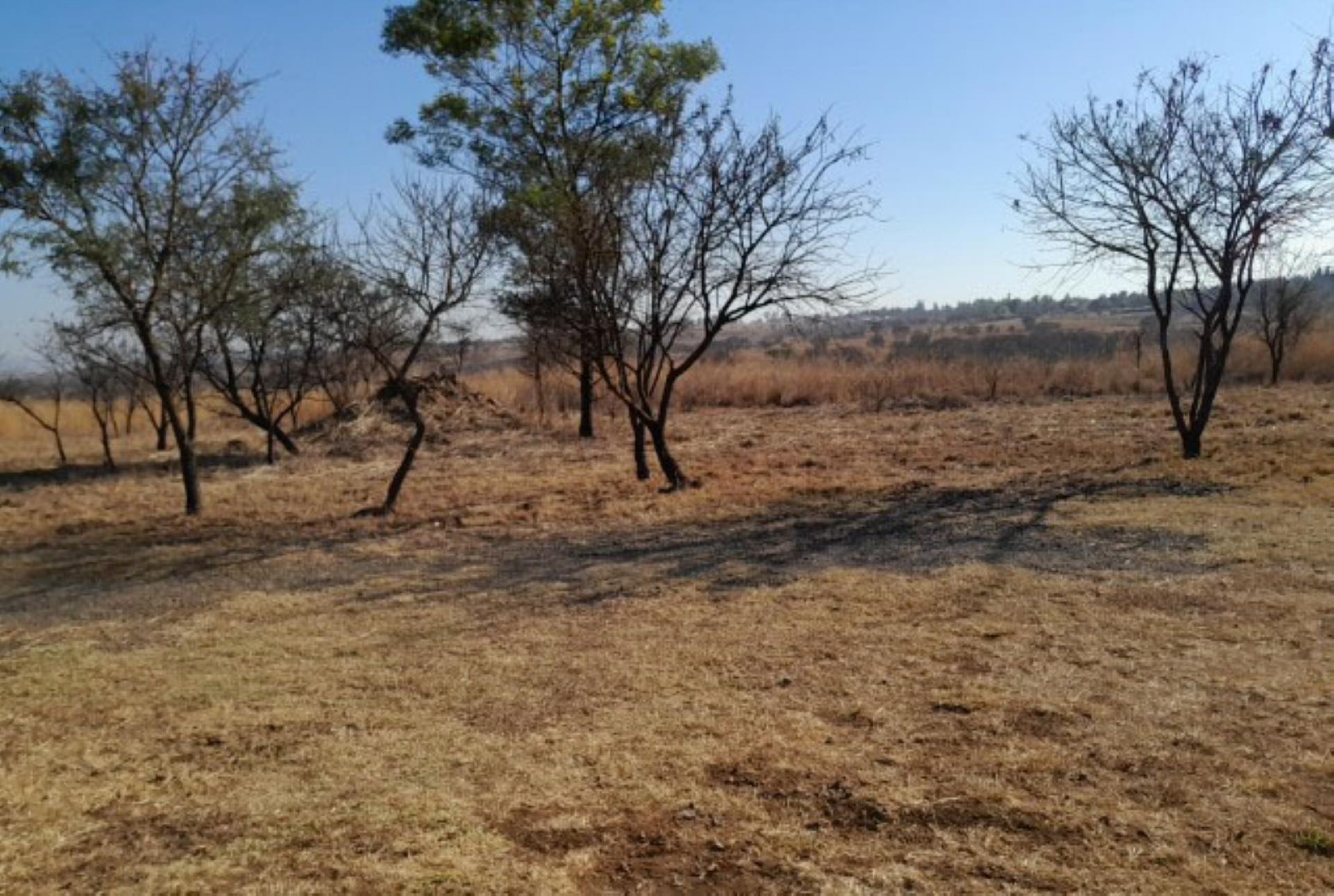 Spaces of property in Lydenburg