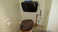 Bathroom 1 - 4 square meters of property in Scottsville PMB