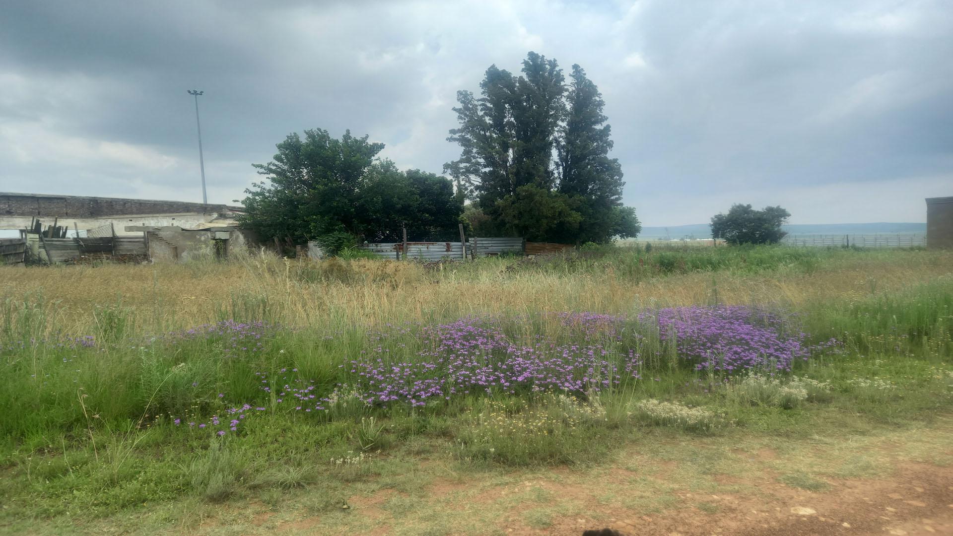 Front View of property in Kaydale AH