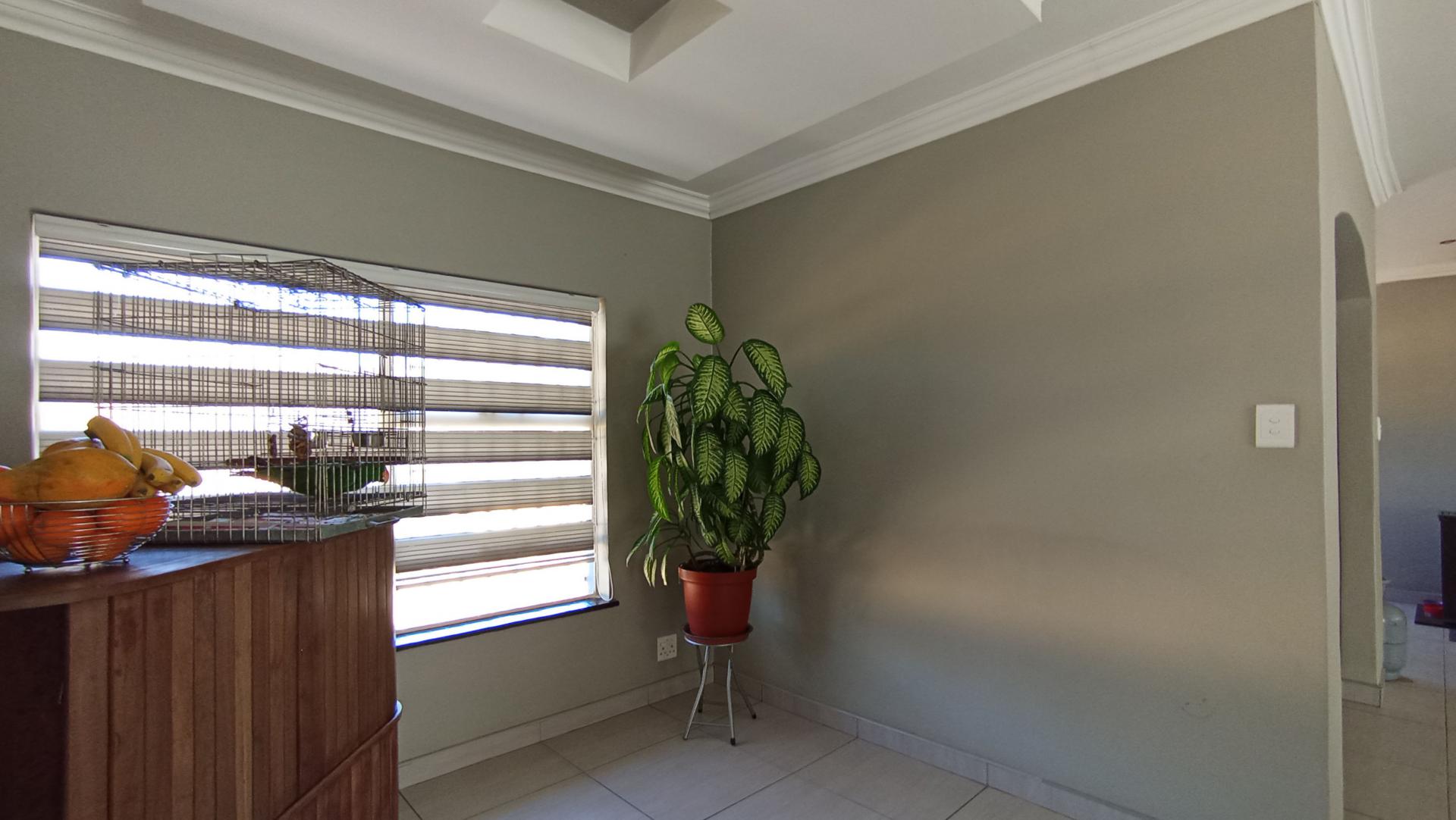 Spaces - 28 square meters of property in Quellerina