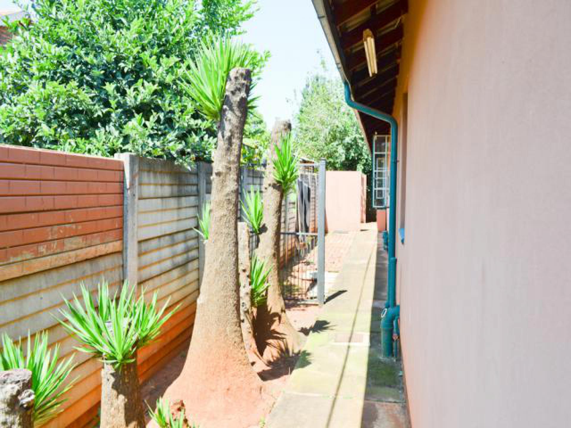 Backyard of property in Doornpoort