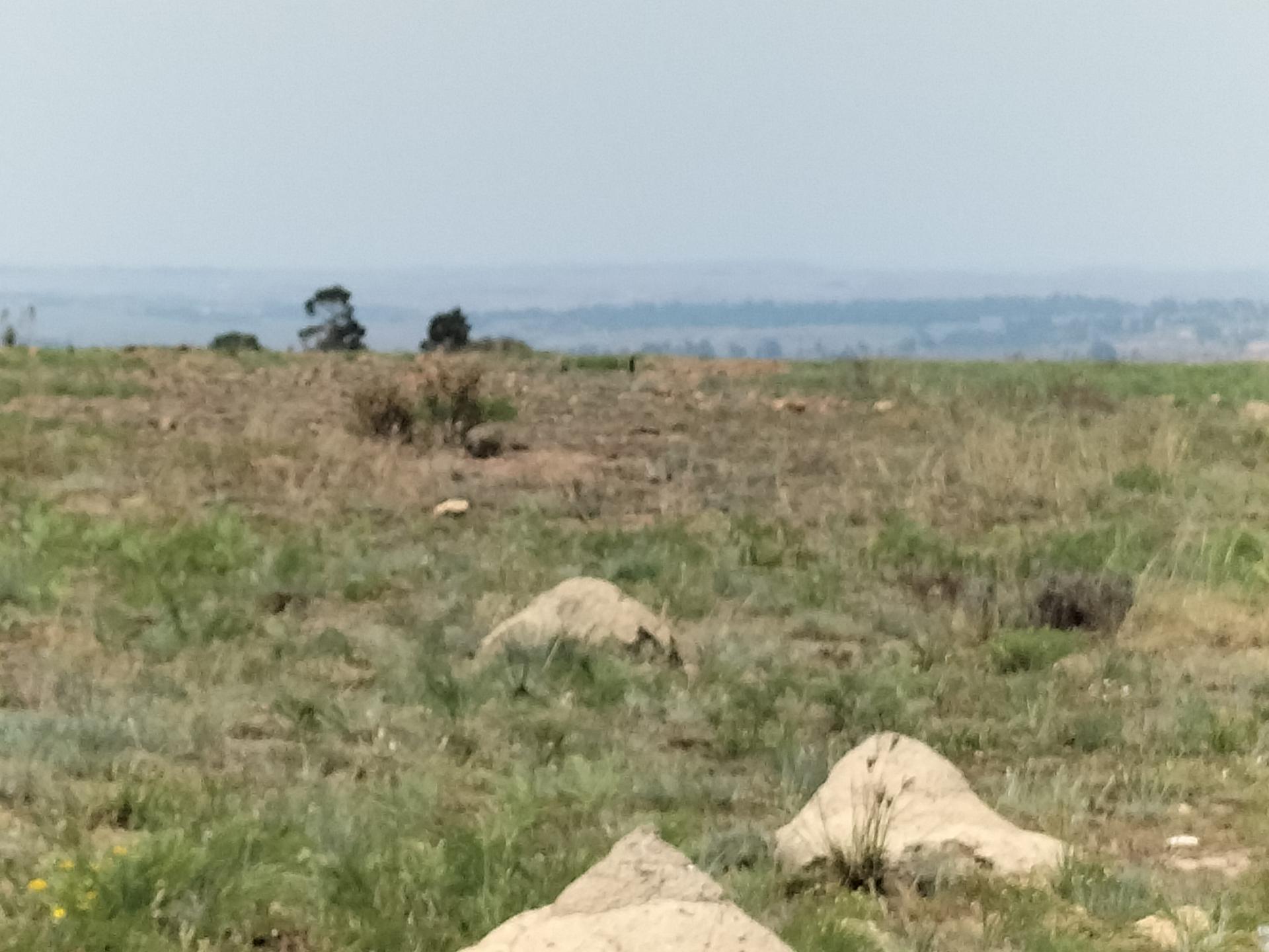 Front View of property in Ben Fleur