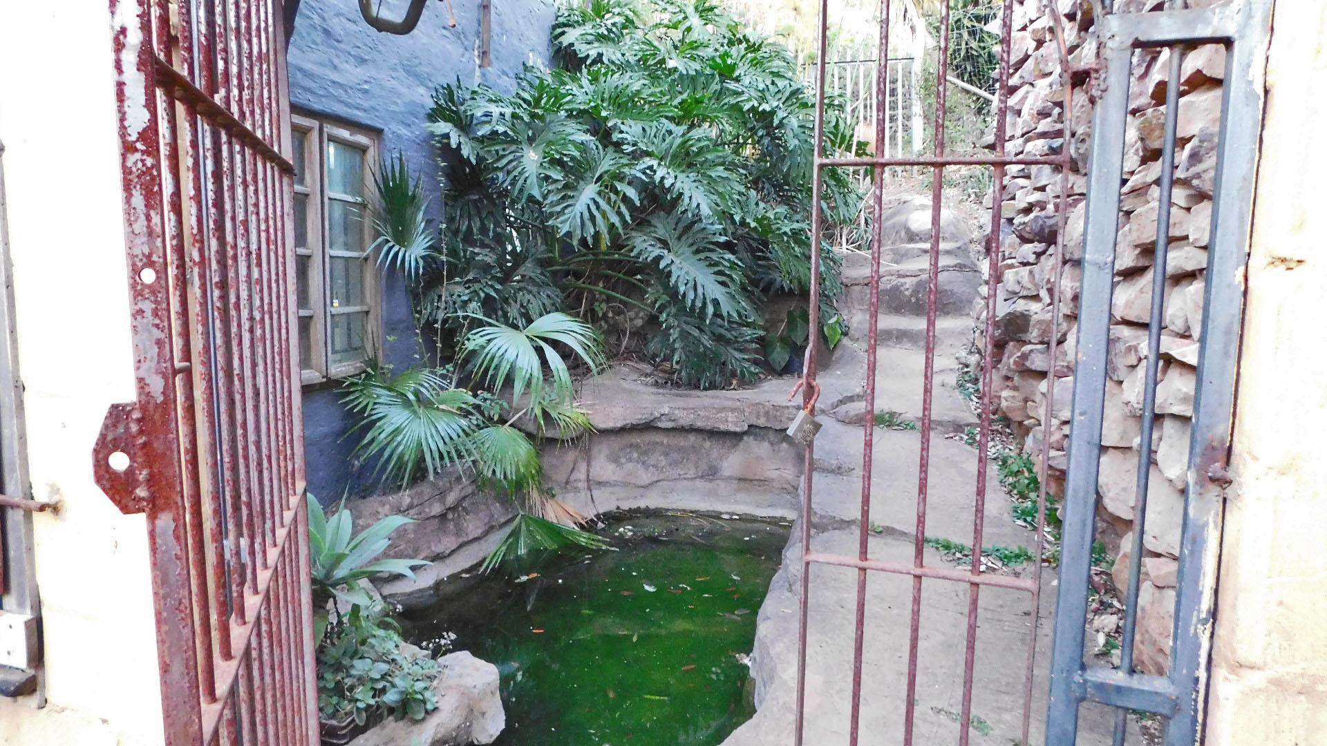 Backyard of property in Bothas Hill 