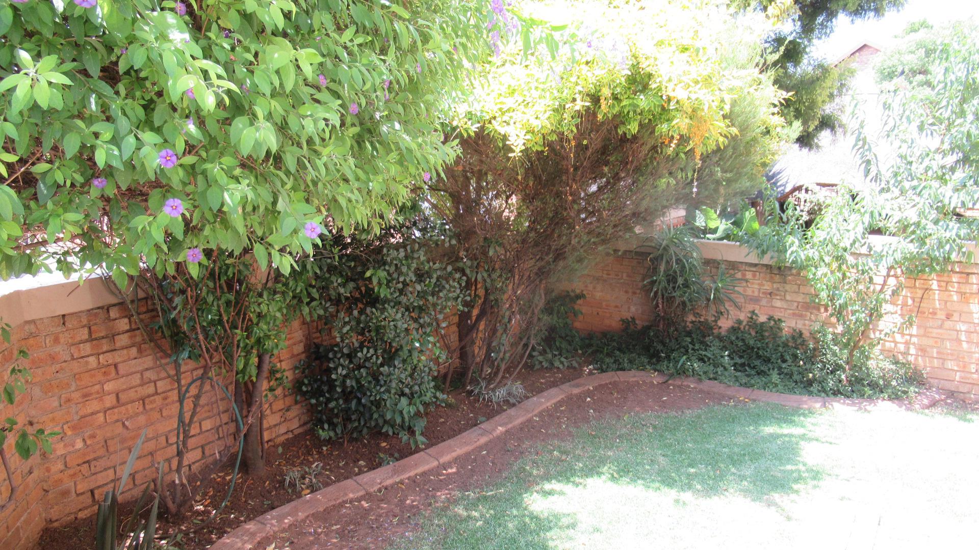 Backyard of property in Wilgeheuwel 