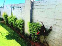 Backyard of property in Albertsdal