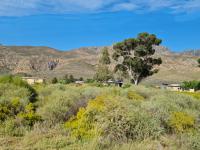 Farm for Sale for sale in Montagu