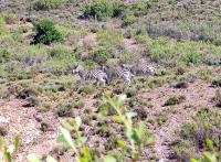  of property in Swellendam