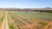  of property in Swellendam
