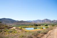  of property in Montagu