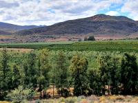  of property in Montagu