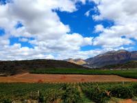  of property in Montagu