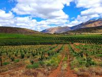  of property in Montagu