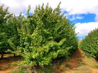  of property in Montagu