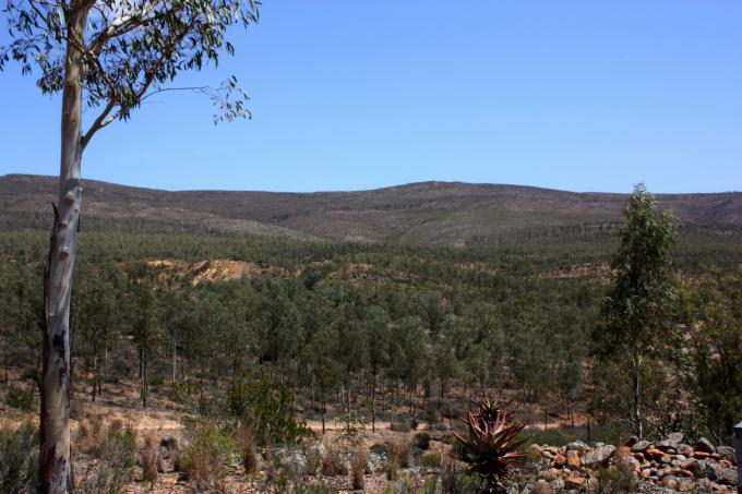 Farm for Sale For Sale in Swellendam - MR547127