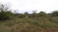 Land for Sale for sale in Thabazimbi