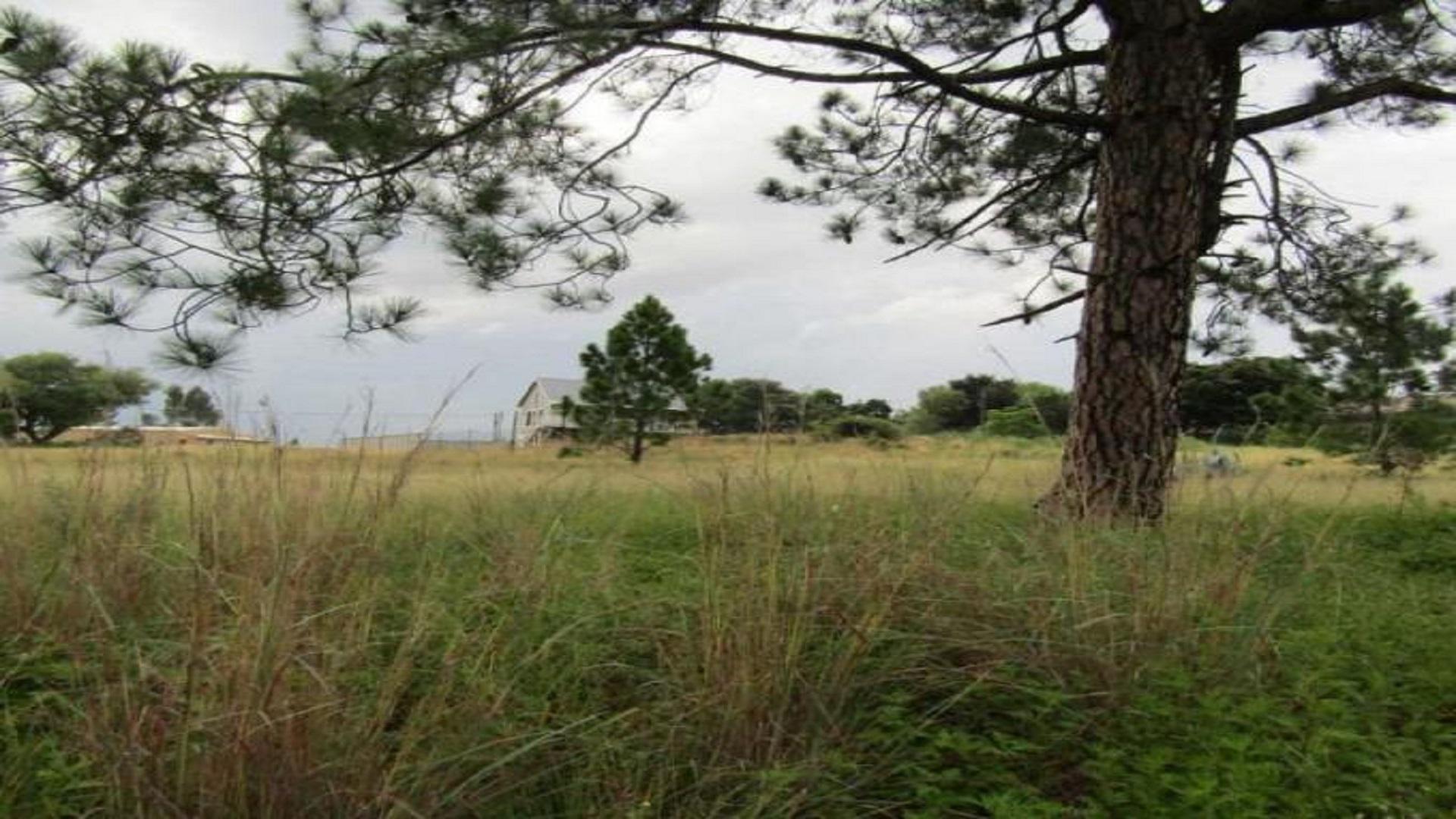 Spaces of property in Oranjeville