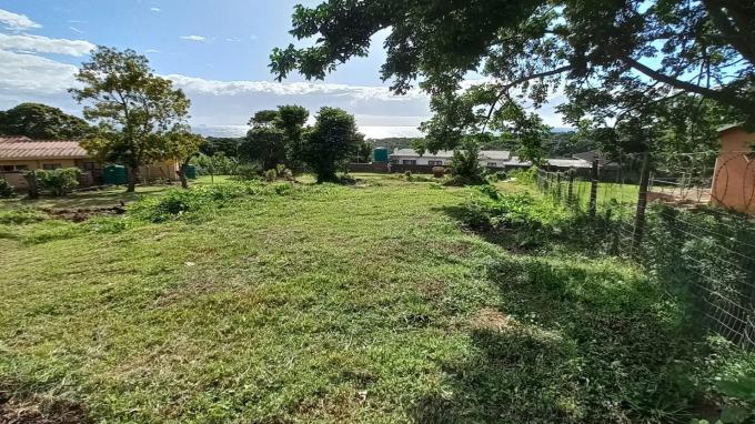 Land for Sale For Sale in Palm Beach - Home Sell - MR548829