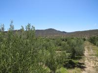  of property in Montagu