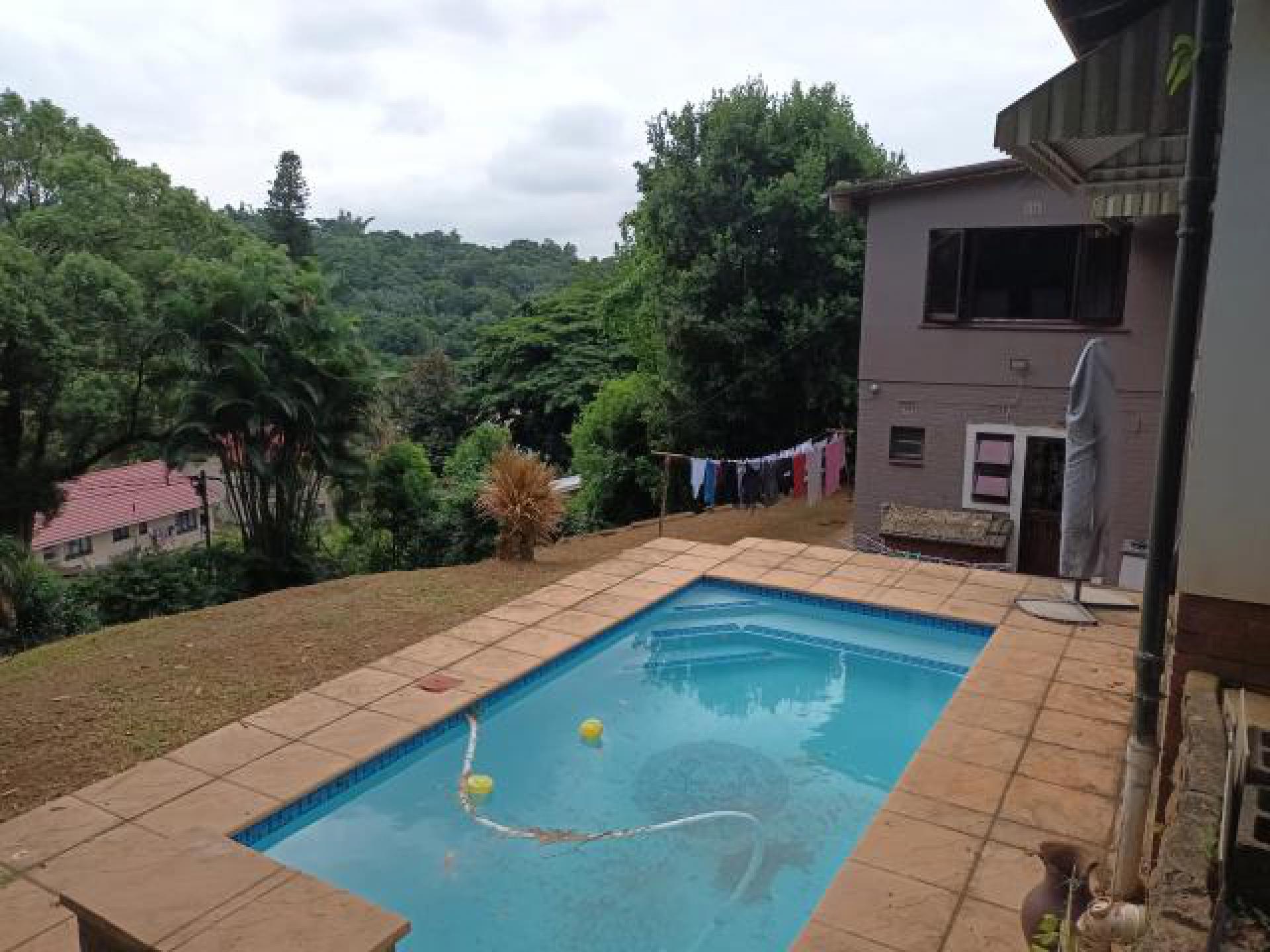 Backyard of property in Yellowwood Park 