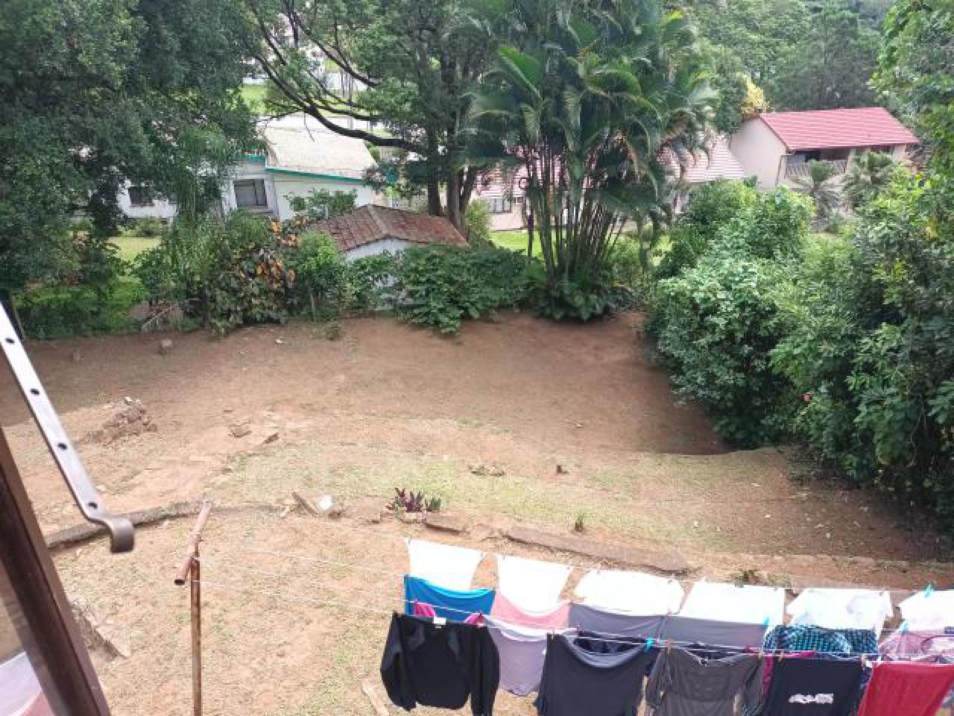 Backyard of property in Yellowwood Park 