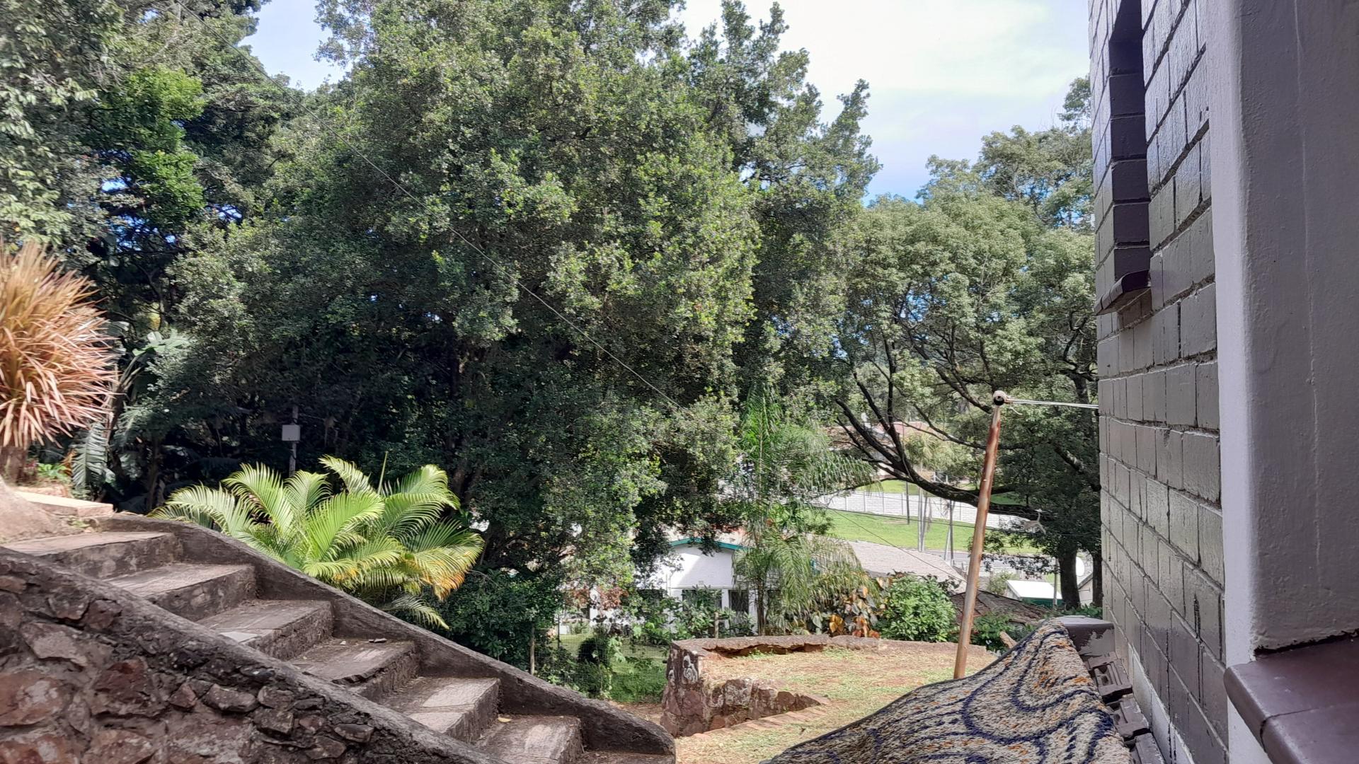 Backyard of property in Yellowwood Park 