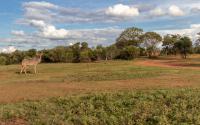 Farm for Sale for sale in Magaliesburg