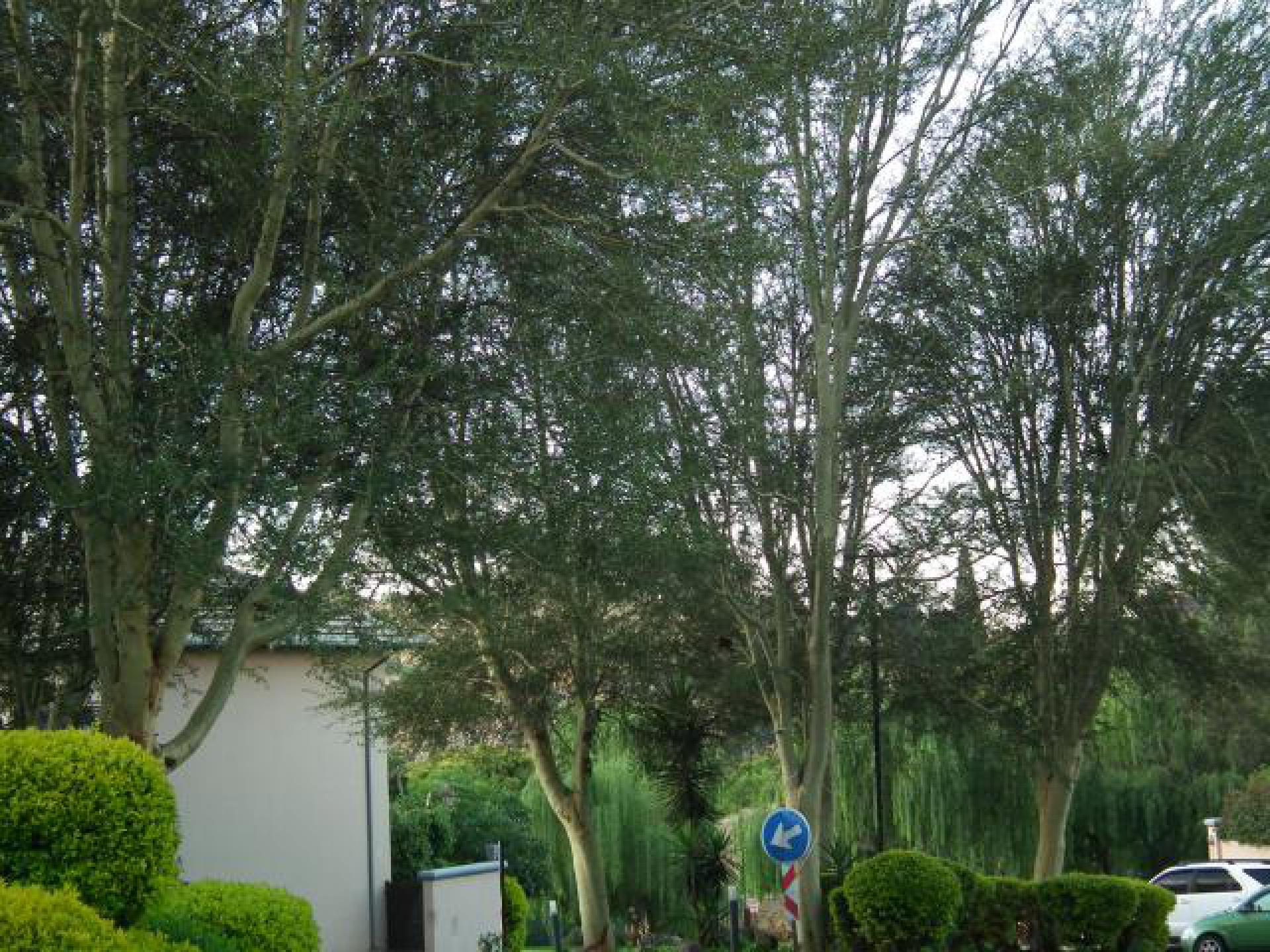 Front View of property in Chancliff AH