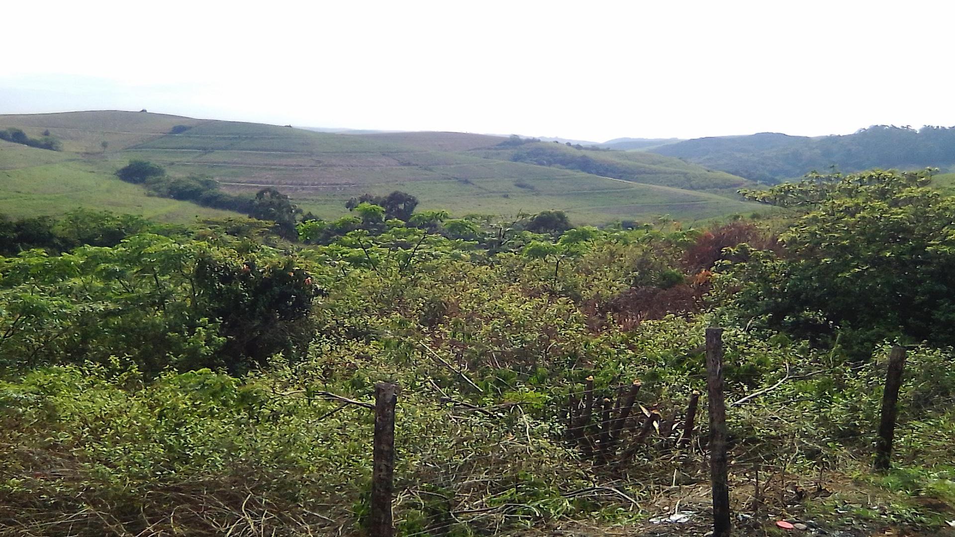 Spaces of property in Umzinto