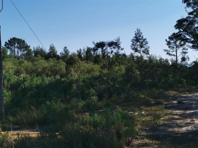 Land for Sale For Sale in Kranshoek - MR551346