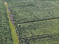Farm for Sale for sale in Waterkloof (Rustenburg)