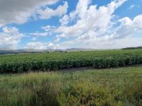  of property in Waterkloof (Rustenburg)