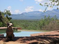 Farm for Sale for sale in Thabazimbi