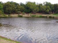  of property in Zeerust