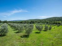 Farm for Sale for sale in Rustenburg